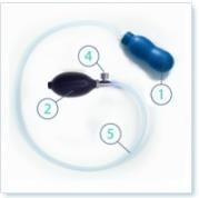 EPI NO GEB.TRAIN.DELPHINE - 1 Stück