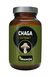 Hanoju Chaga Pilz Extrakt Tabletten 400mg - 90 Stück