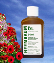 NEEM OEL KONZENTRAT CANEA - 50 Milliliter