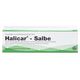 HALICAR SLB - 25 Gramm