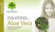 Grünteemischung mit Aloe Vera - 20 Stück