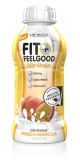 Fit + Feelgood fix+fertig Diät-Shake - 312 Milliliter