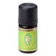AETH.OEL PRIMAV.EUKA/GLO - 5 Milliliter