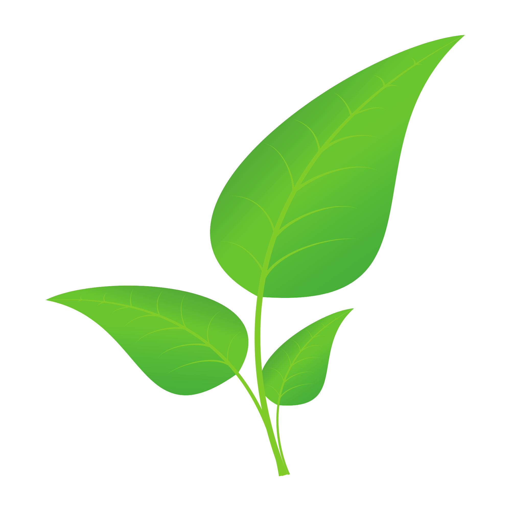 homoeopathie2